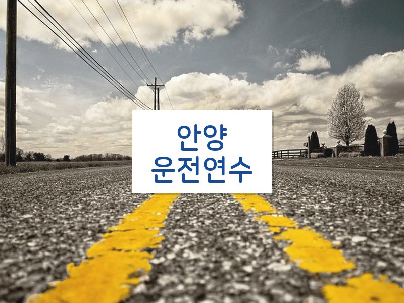 안양운전연수 후기