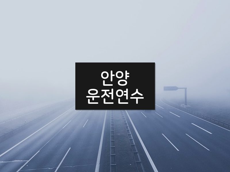 안양운전연수 후기
