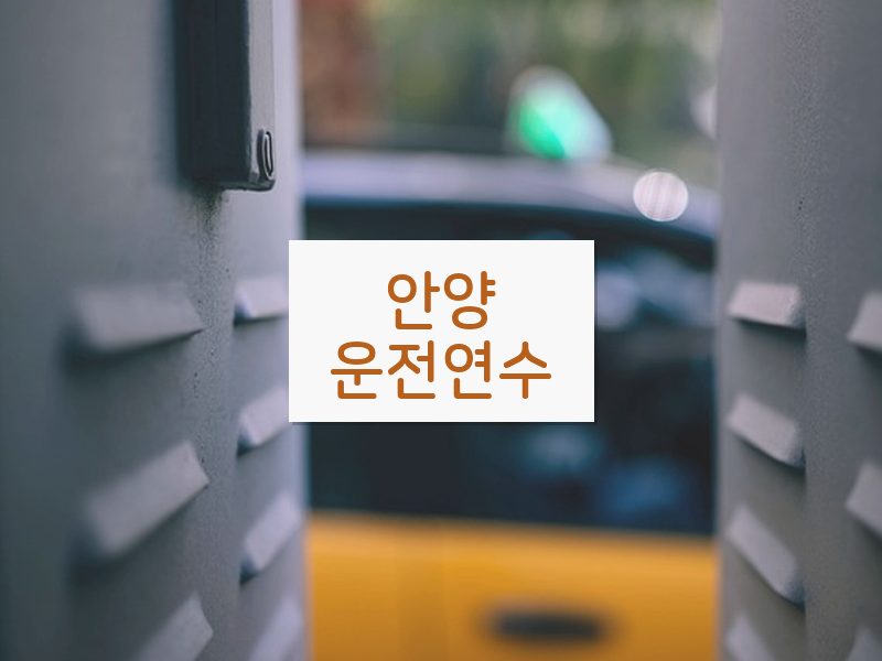 안양운전연수 후기