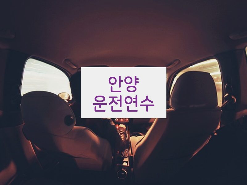 안양운전연수 후기