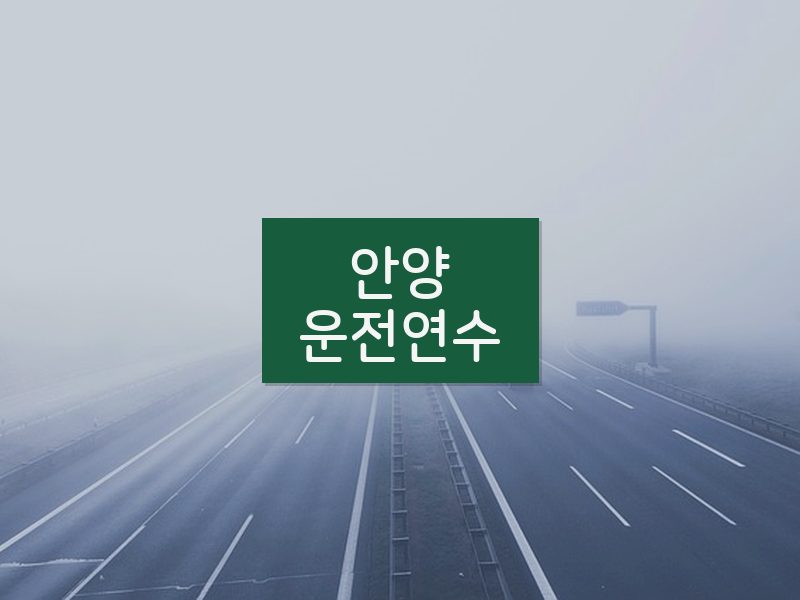 안양운전연수 후기
