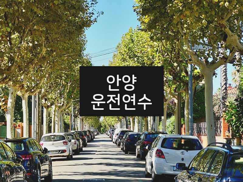 안양운전연수 후기