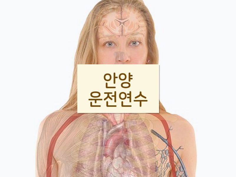 안양운전연수 후기