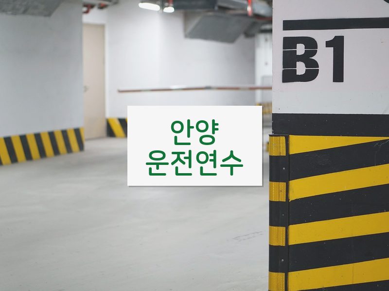 안양운전연수 후기