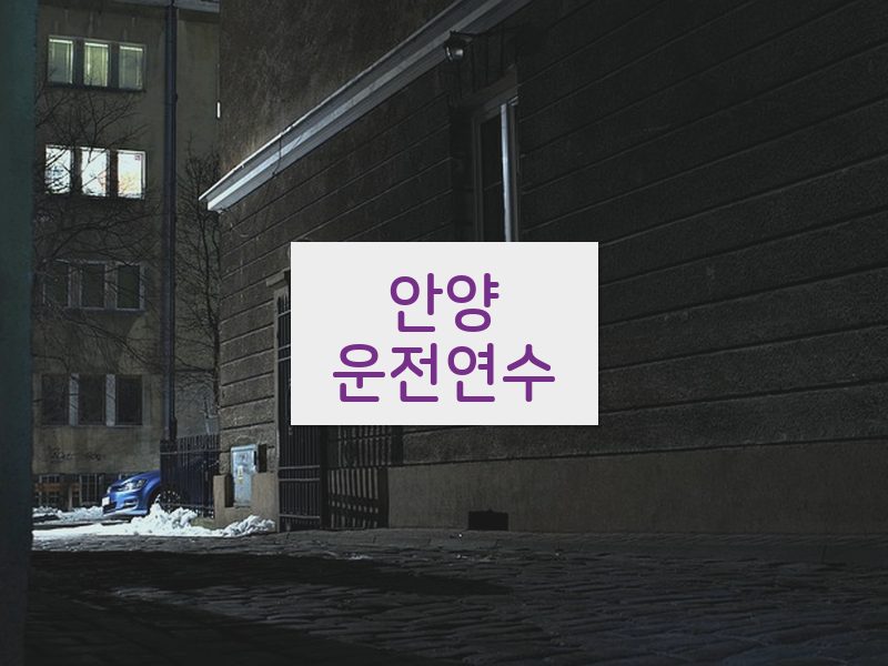 안양운전연수 후기