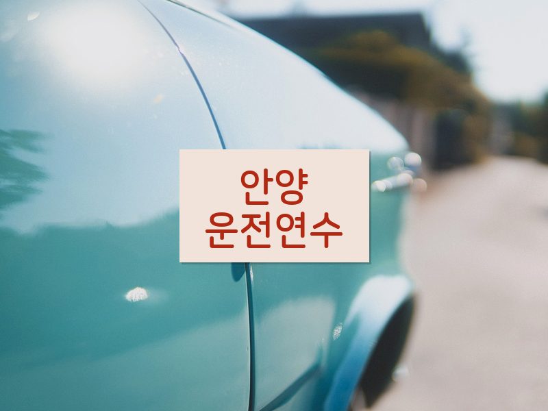 안양운전연수 후기
