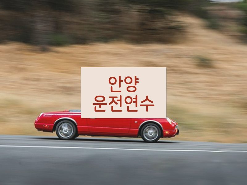 안양운전연수 후기