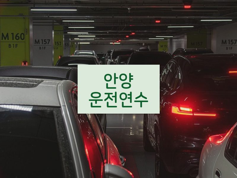 안양운전연수 후기