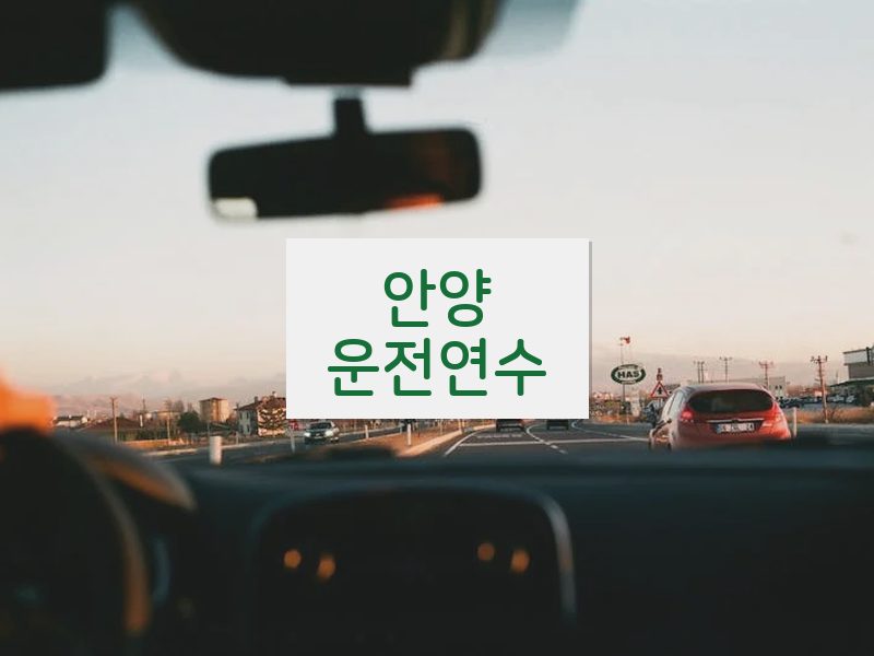 안양운전연수 후기