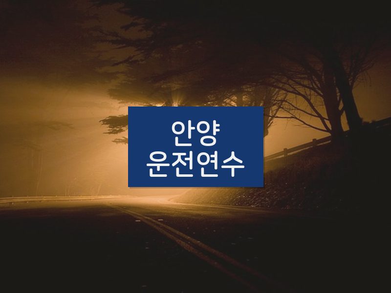 안양운전연수 후기