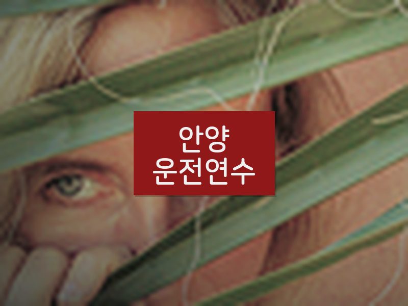 안양운전연수 후기