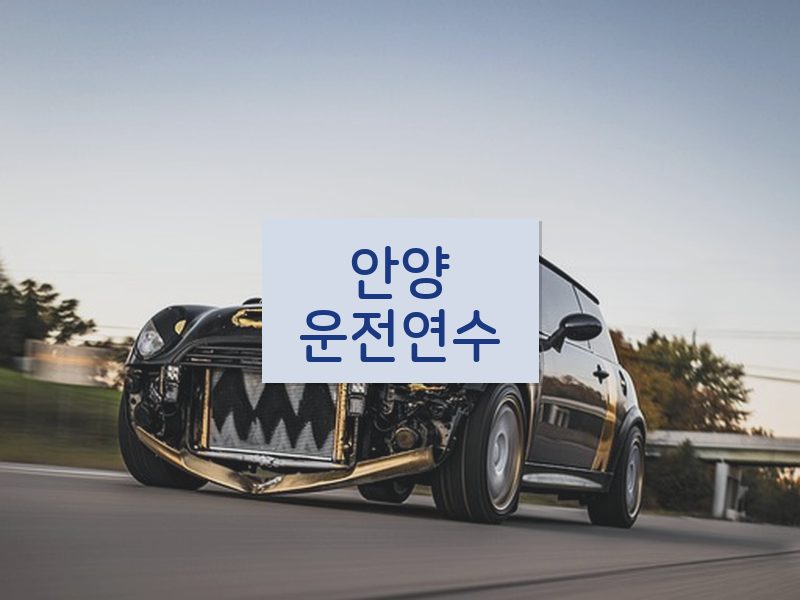 안양운전연수 후기