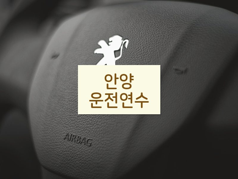 안양운전연수 후기