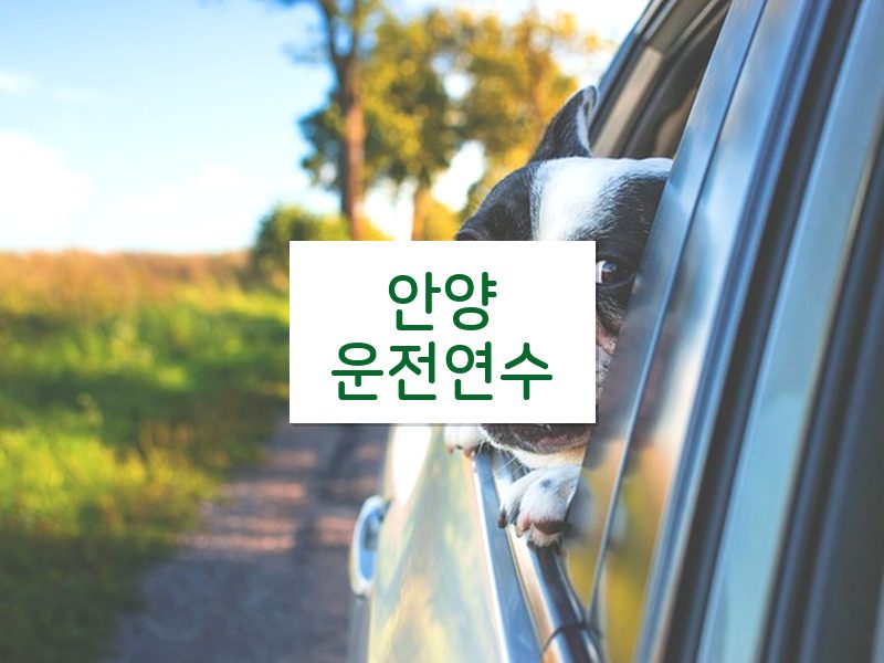 안양운전연수 후기