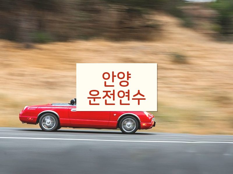 안양운전연수 후기