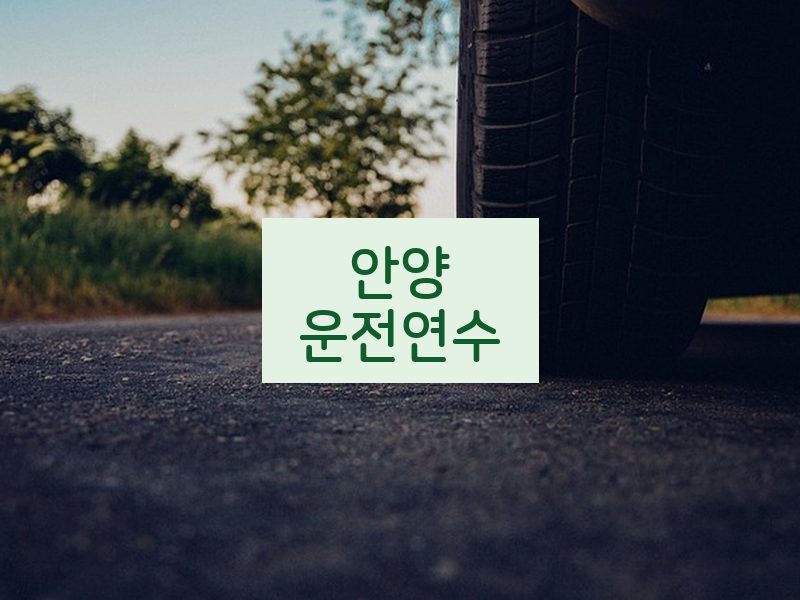 안양운전연수 후기