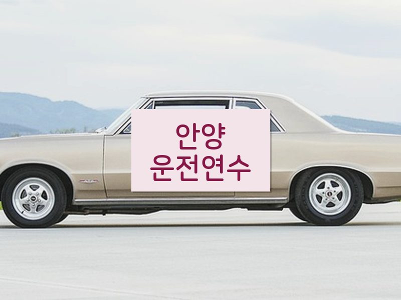 안양운전연수 후기