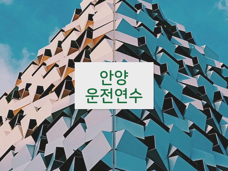 안양운전연수 후기