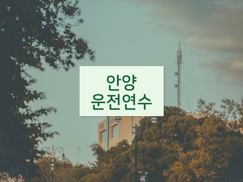 안양운전연수 후기