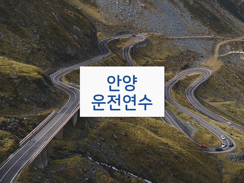 안양운전연수 후기