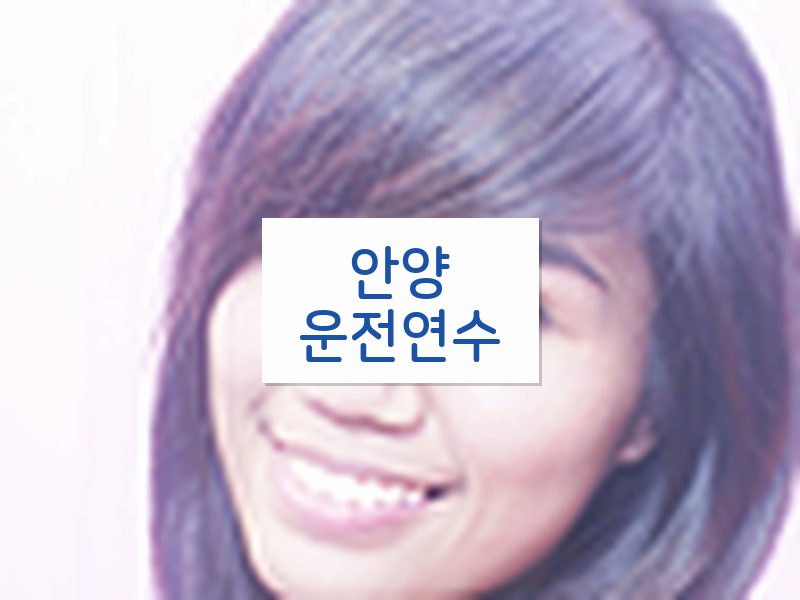 안양운전연수 후기