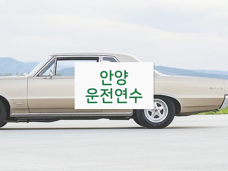 안양운전연수 후기