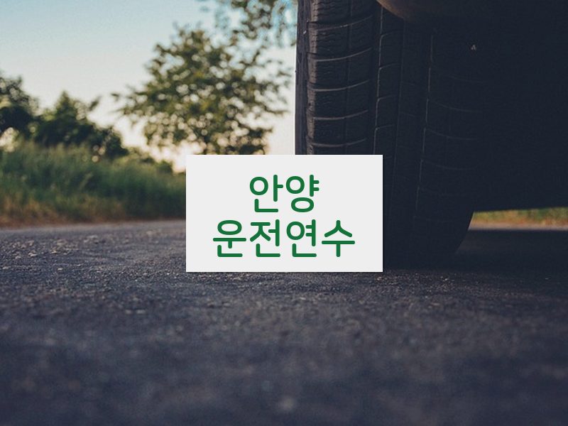 안양운전연수 후기
