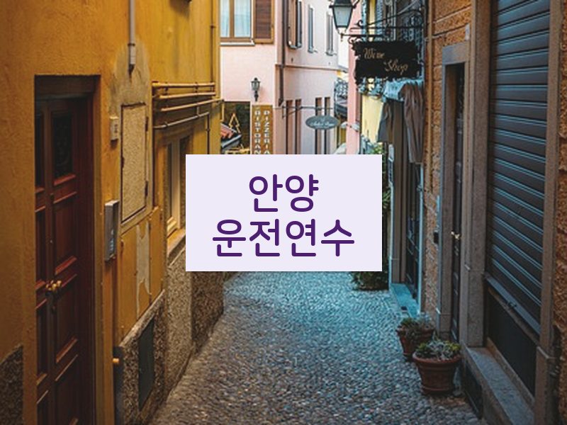 안양운전연수 후기
