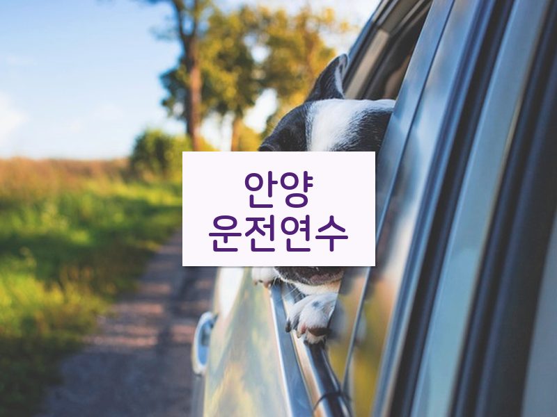 안양운전연수 후기
