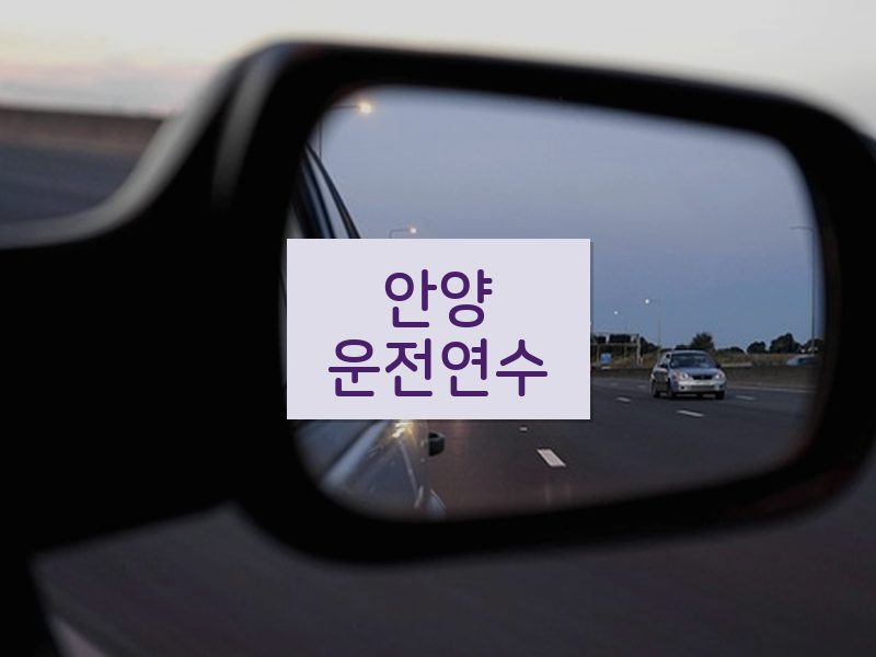 안양운전연수 후기