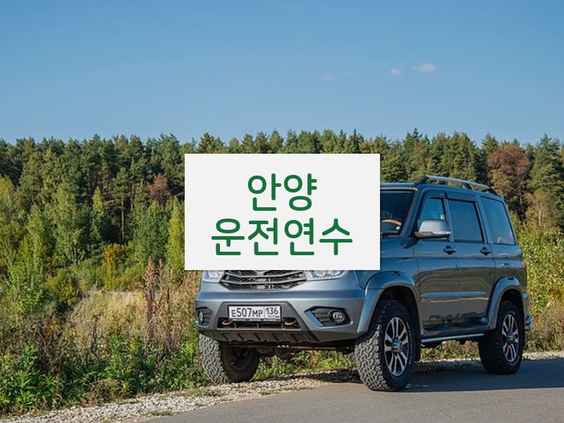 안양운전연수 후기