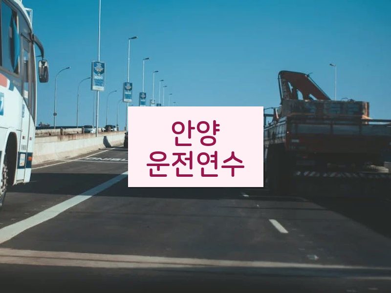 안양운전연수 후기