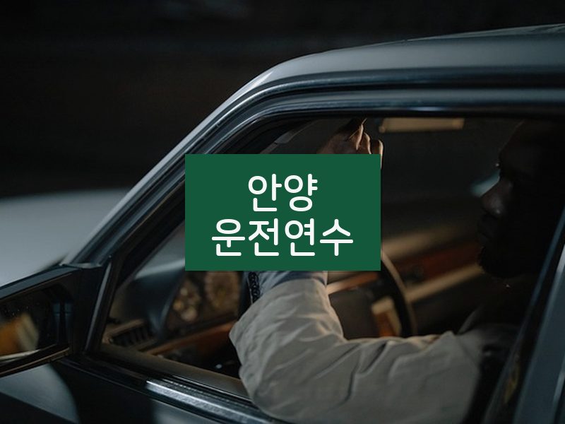 안양운전연수 후기