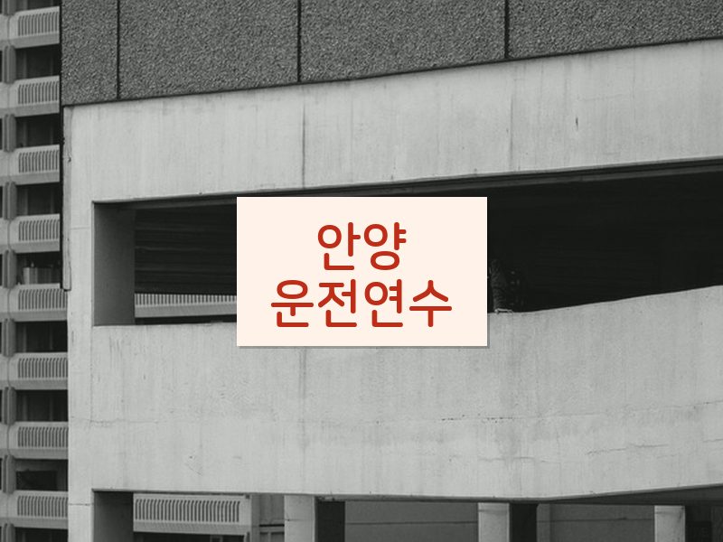 안양운전연수 후기