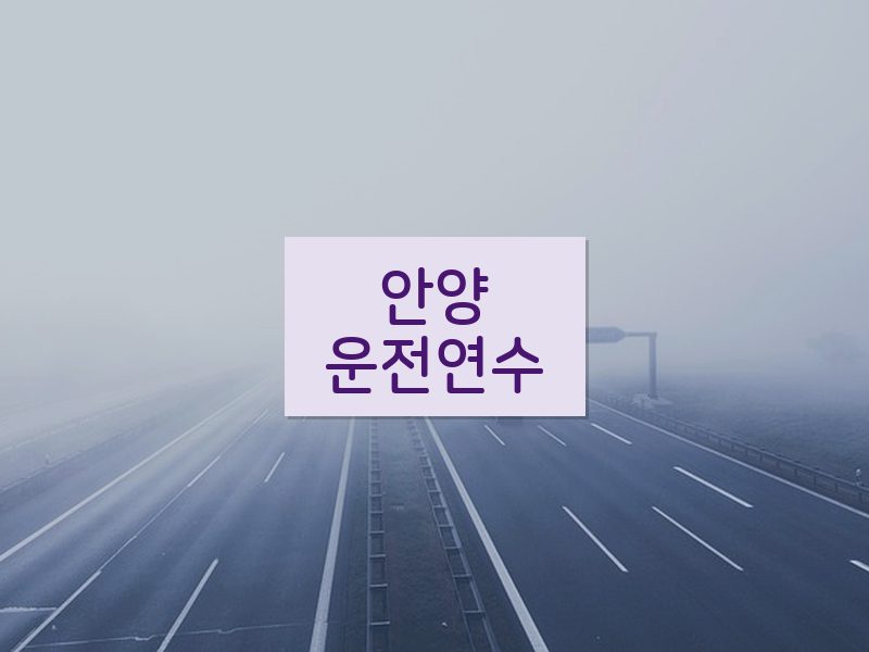 안양운전연수 후기