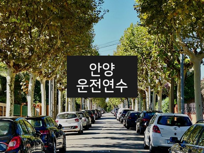 안양운전연수 후기