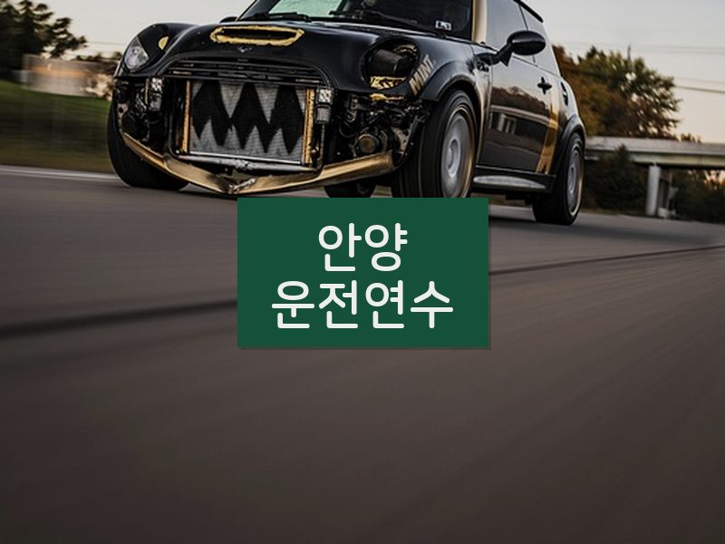안양운전연수 후기
