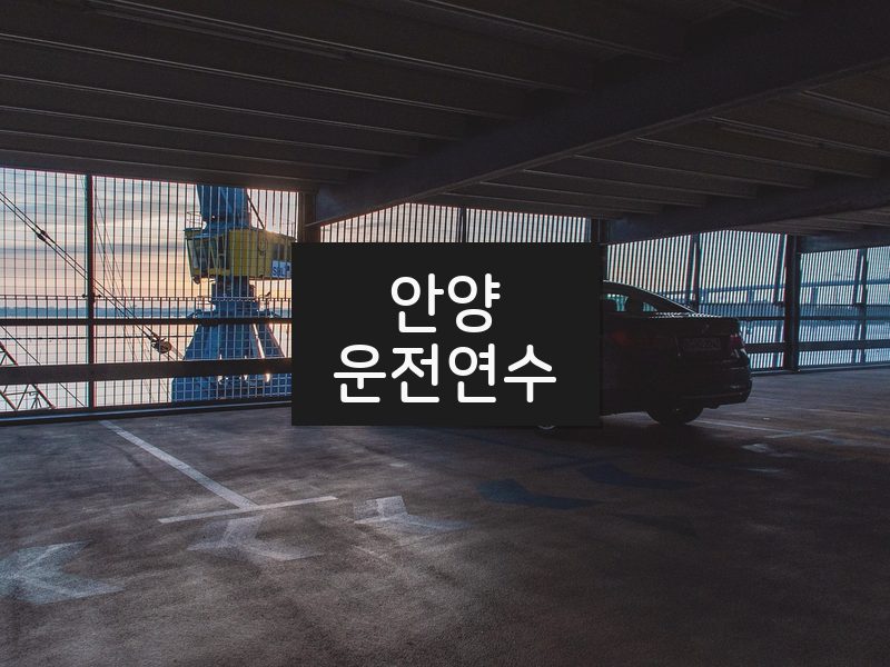 안양운전연수 후기