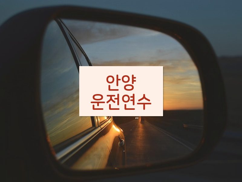 안양운전연수 후기