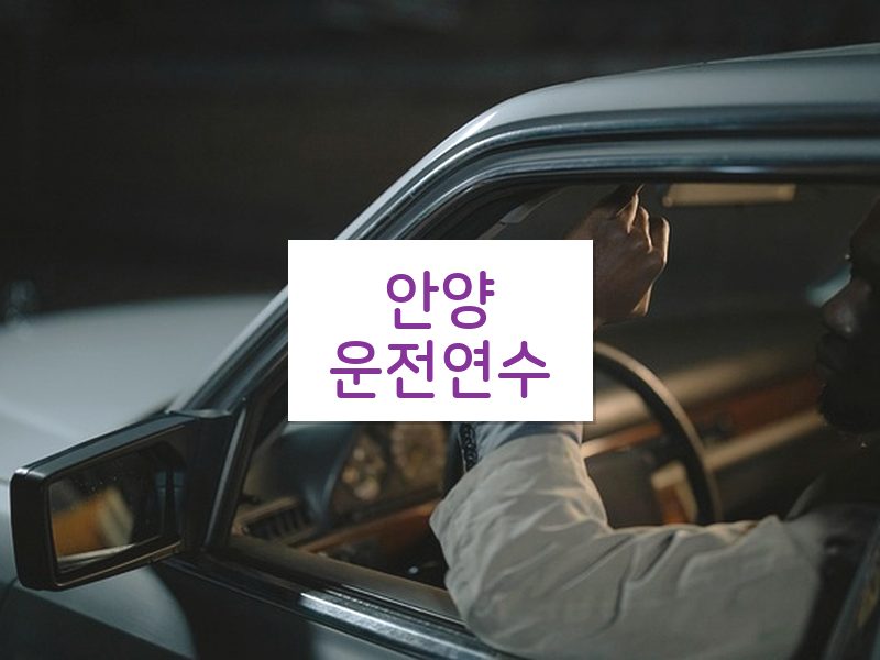 안양운전연수 후기