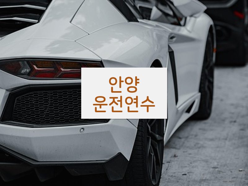 안양운전연수 후기