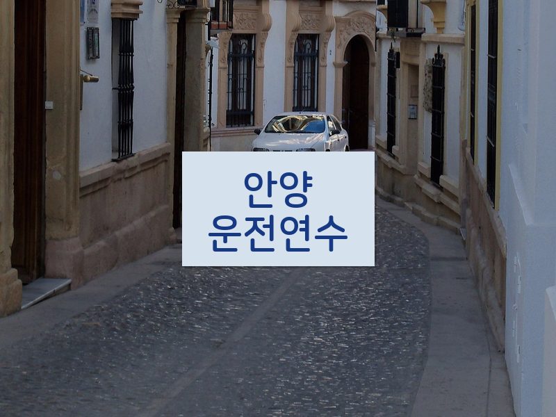 안양운전연수 후기