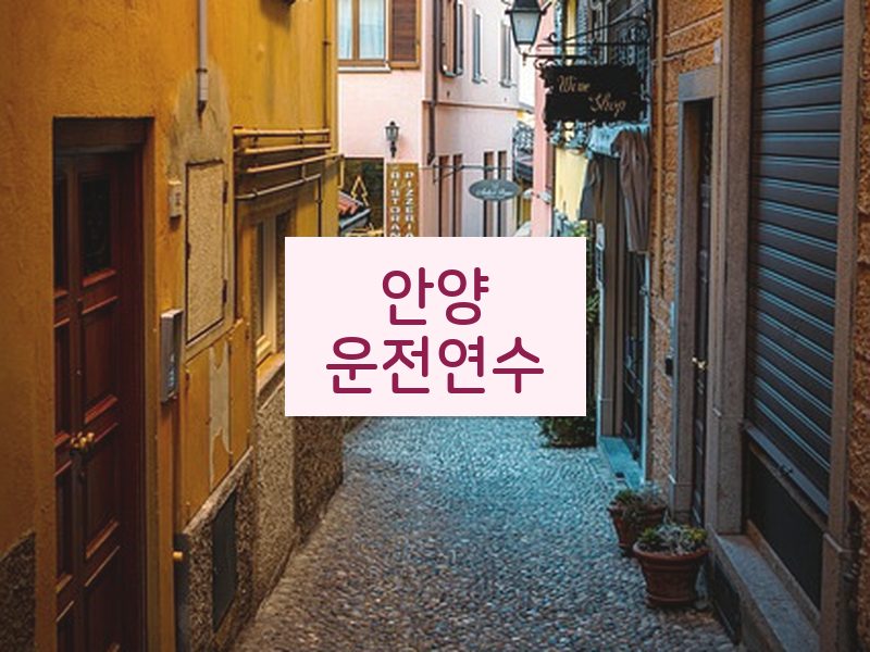 안양운전연수 후기