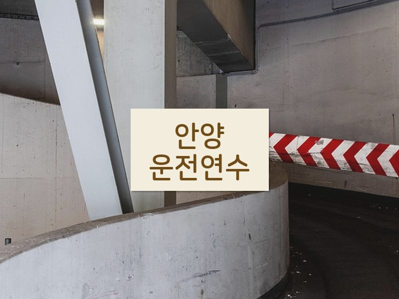 안양운전연수 후기