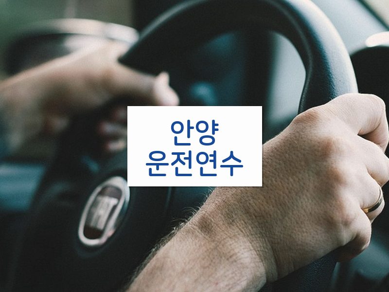 안양운전연수 후기