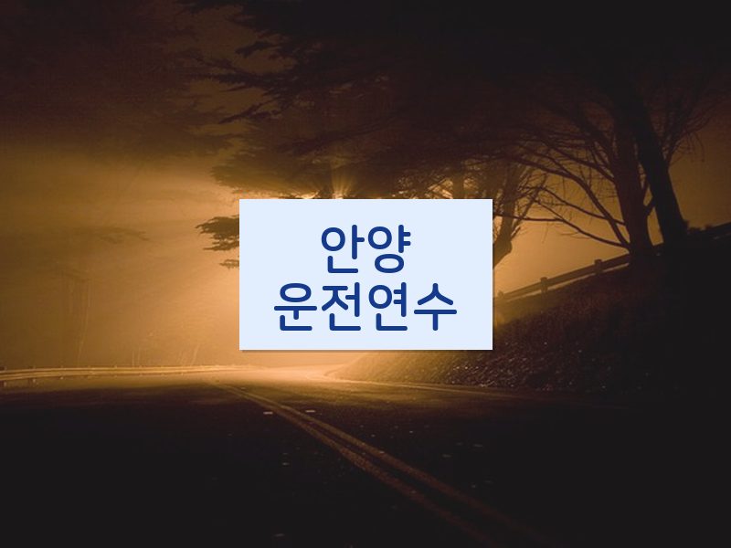 안양운전연수 후기