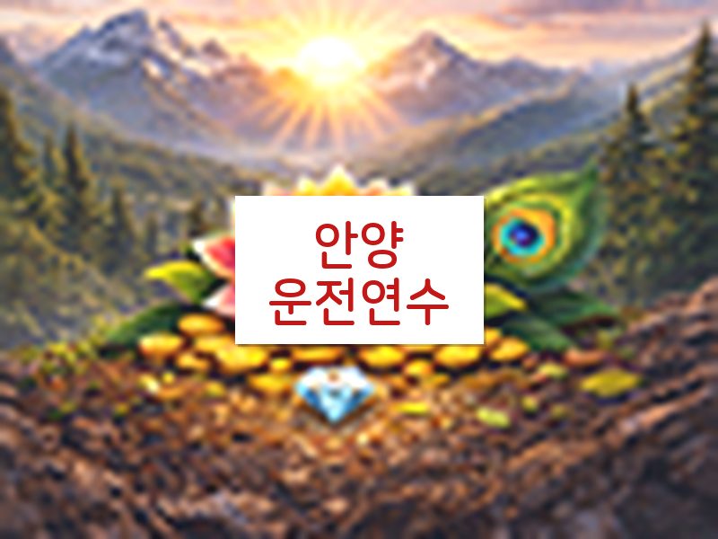안양운전연수 후기
