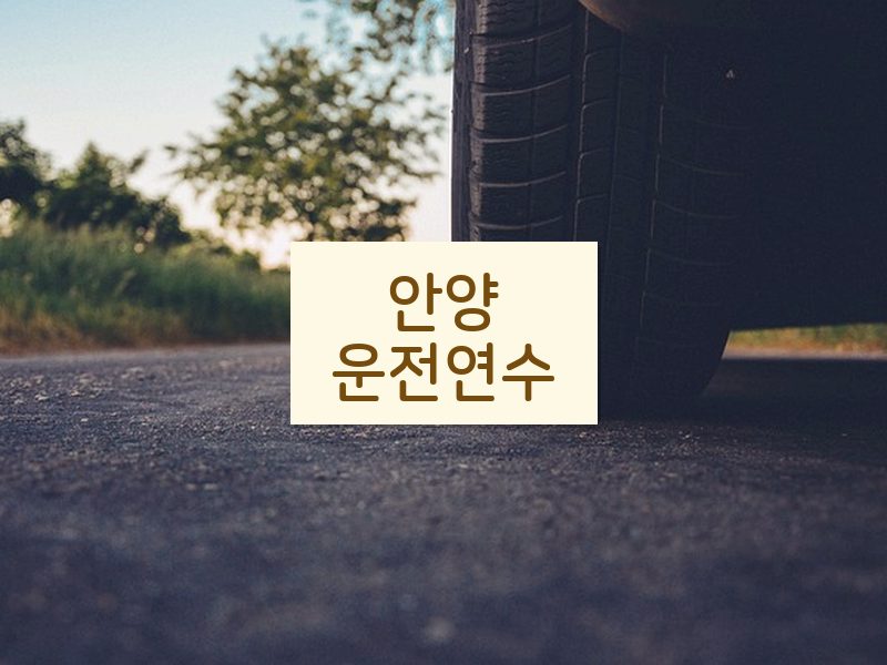 안양운전연수 후기