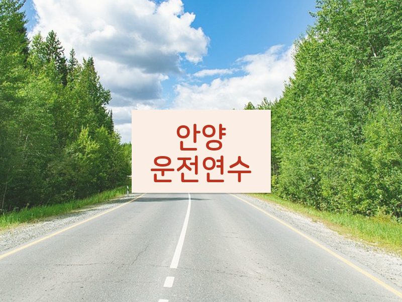 안양운전연수 후기