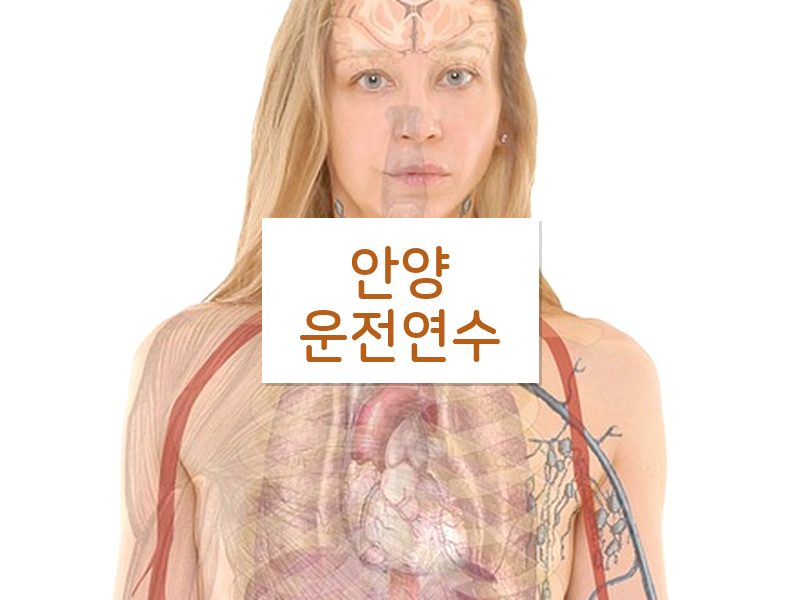 안양운전연수 후기